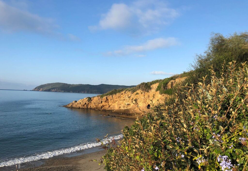 Bikeferien auf Elba – Auf unseren Touren besuchen wir schöne Strände auf Elba