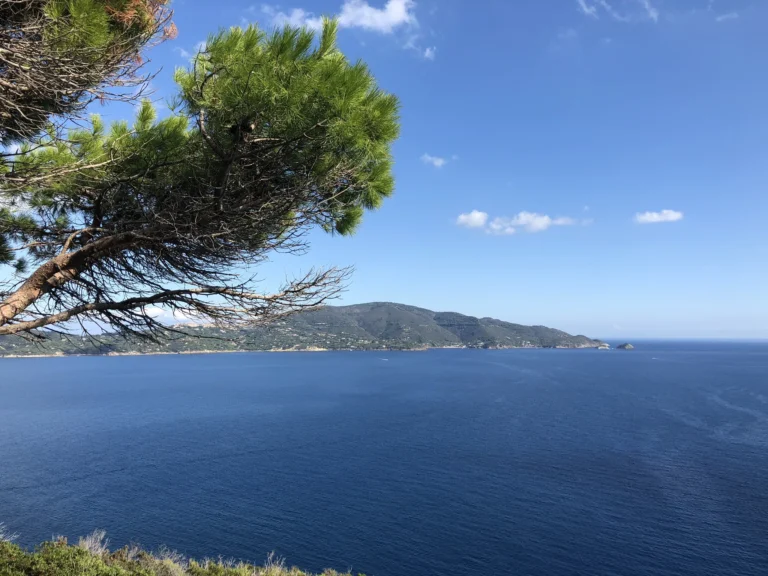 Bikeferien auf Elba: Toller Ausblick auf das Meer während der Biketour