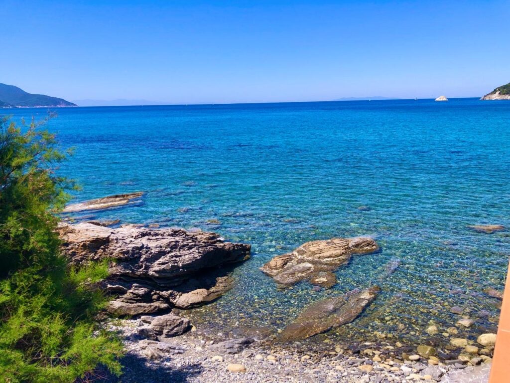 33c07bd1-0021-4120-8747-f9dadff1671e