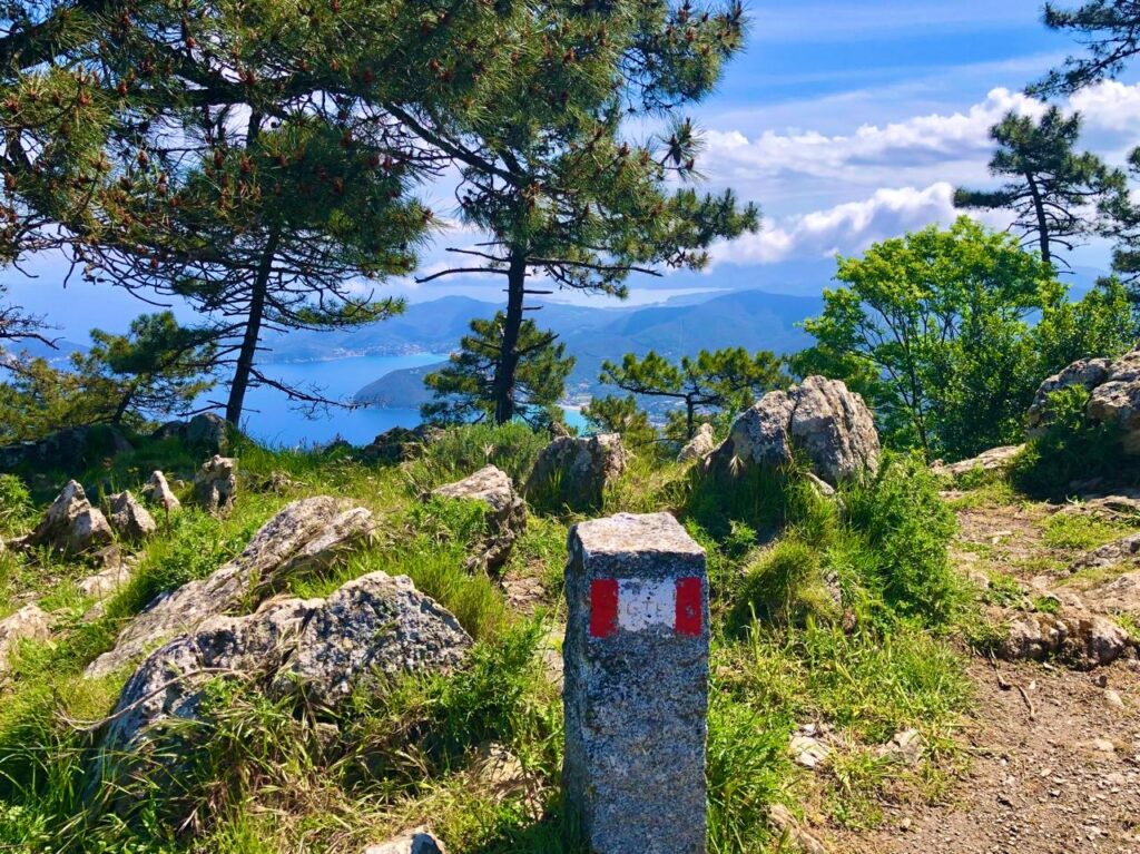 41a51cf9-48ff-421e-bea4-fc203ec6975e