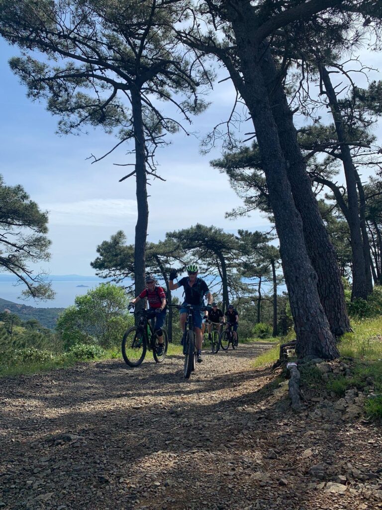 5e772700-1950-4959-a951-202f954033af